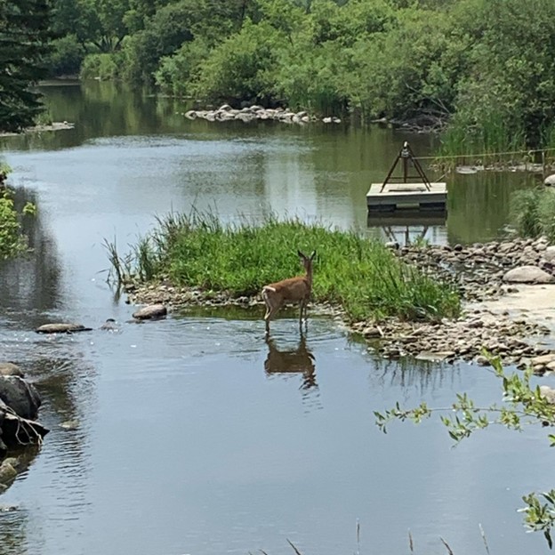 Wildlife and local Historical sites